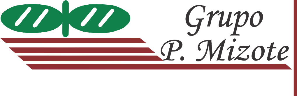 Logo Grupo P. Mizote